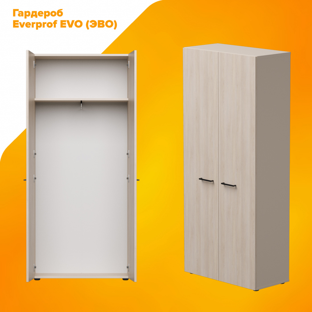 Гардероб Everprof EVO (ЭВО) Гардероб Everprof EVO (ЭВО)