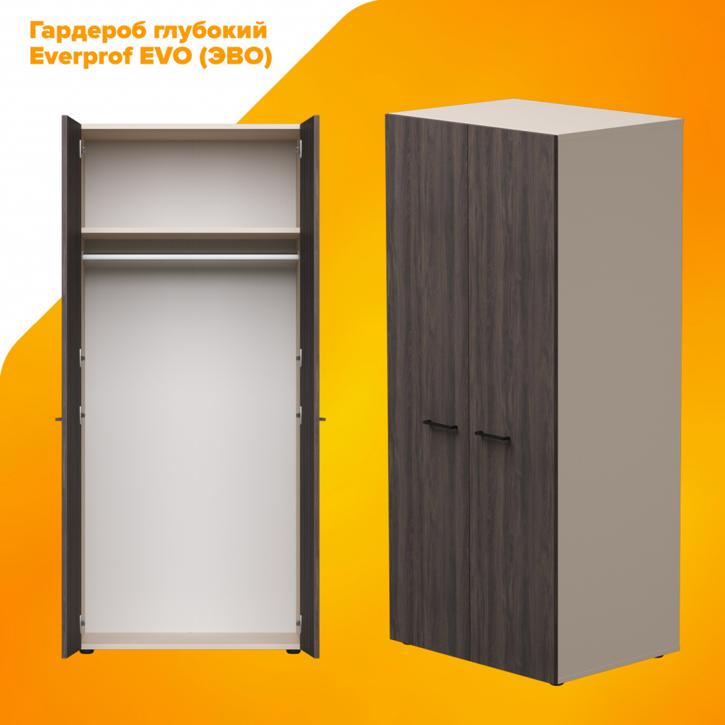 Гардероб глубокий Everprof EVO (ЭВО) Гардероб глубокий Everprof EVO (ЭВО)