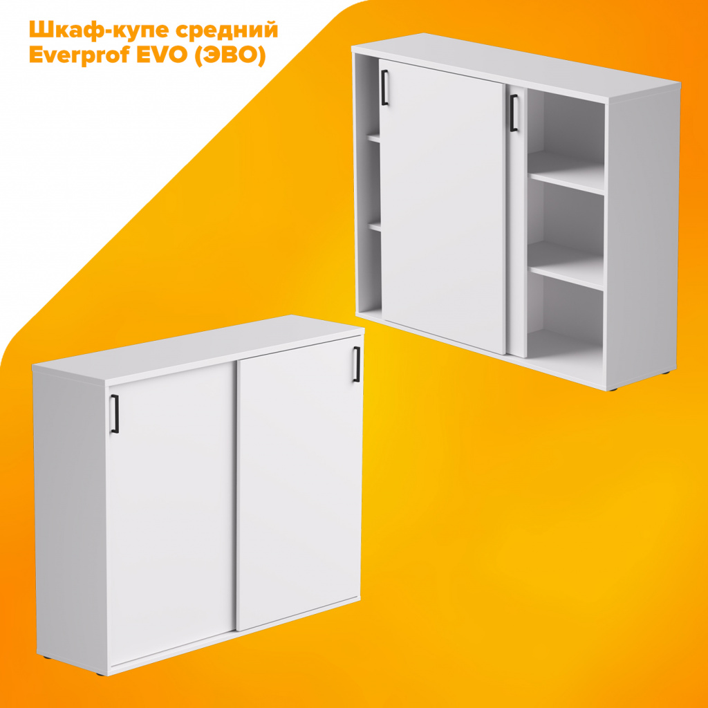 Шкаф-купе средний Everprof EVO (ЭВО) Шкаф-купе средний Everprof EVO (ЭВО)